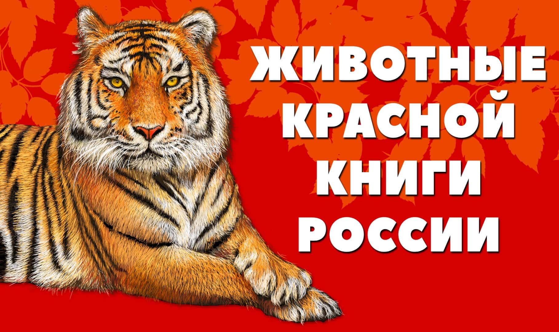 Дербентская прокуратура предупреждает.